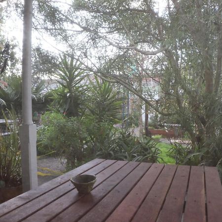 Oasis Accommodation Opotiki Dış mekan fotoğraf