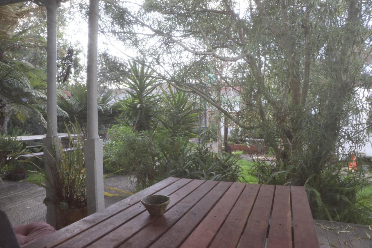 Oasis Accommodation Opotiki Dış mekan fotoğraf